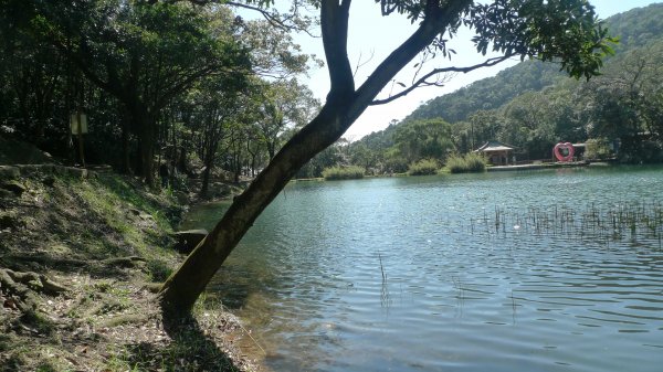 新山 夢湖518583