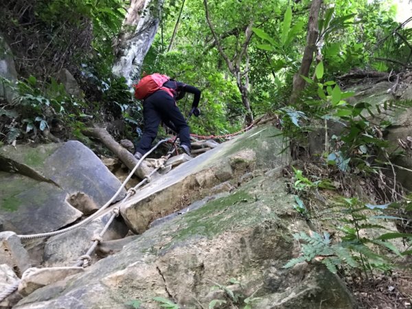 五寮尖上大風狂448895