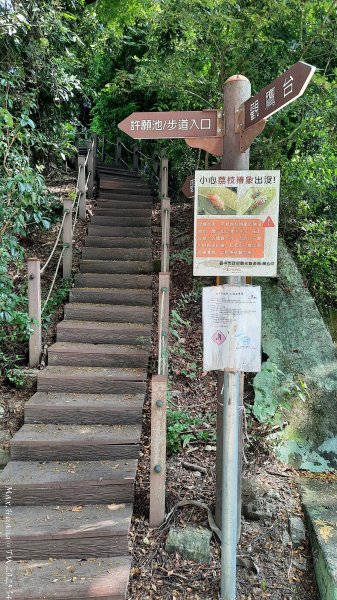 《台中》郊山飆汗｜潭子新田登山步道上聚興山O繞202510042904452