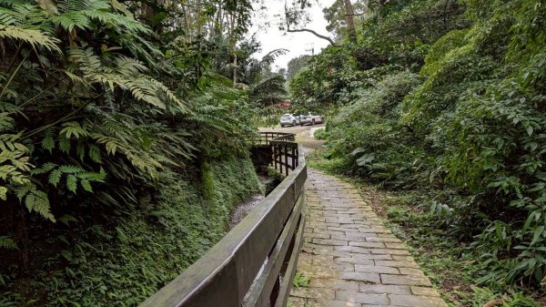 天上山步道2980438