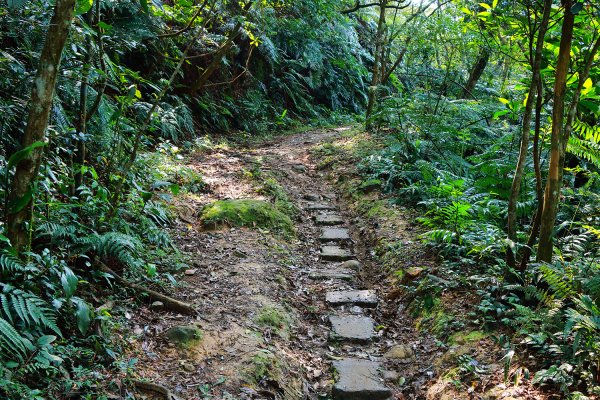 猴山岳。二格山。小獅山連走616097