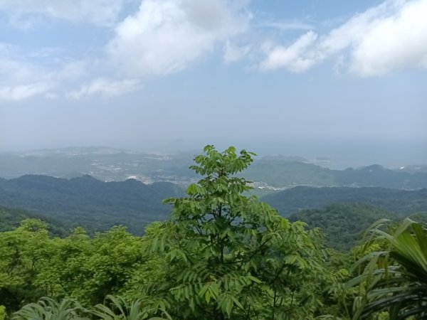 瑞芳區八分寮頂砲台+八分寮頂山+八分寮古道O型封面