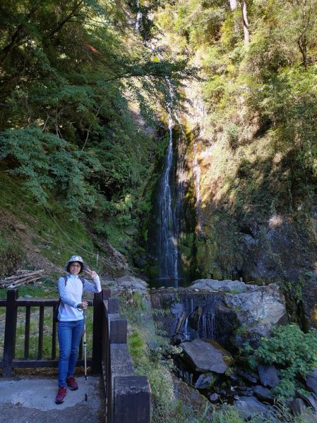如童話般的森林步道-武陵桃山瀑布步道1190836