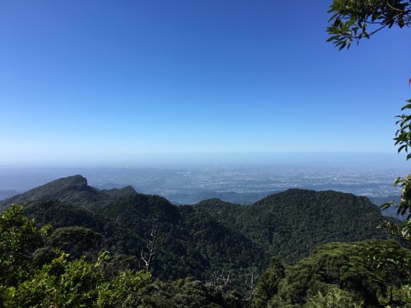 鳥結o. (內鳥嘴、那是山2595843