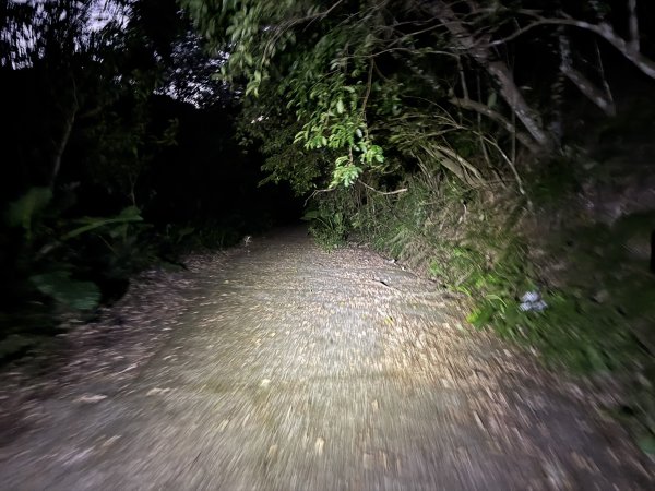 山毛櫸掉光光的 卡保逐鹿O繞 202511152937484