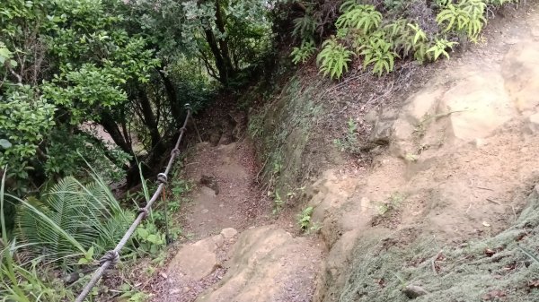 汐止區翠湖步道-學頭坡步道-老鷲尖-內溝山步道-翠湖P字走3051239