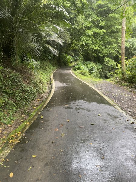 20250705-Ep.03六寮古道-2025森遊竹縣皮皮獅探險隊2851459