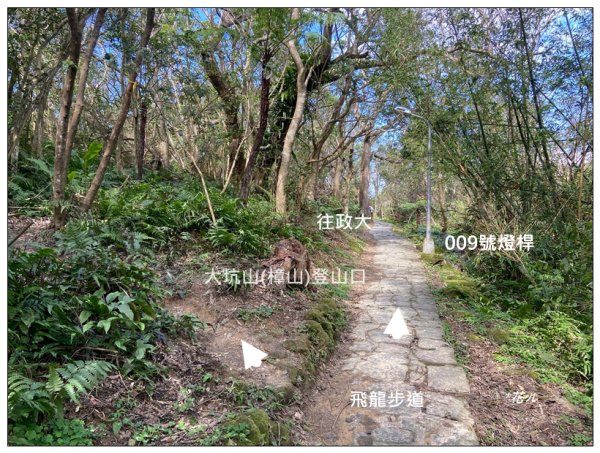 炮子林山、樟山、恆光橋崙 (政大三小山)2715725