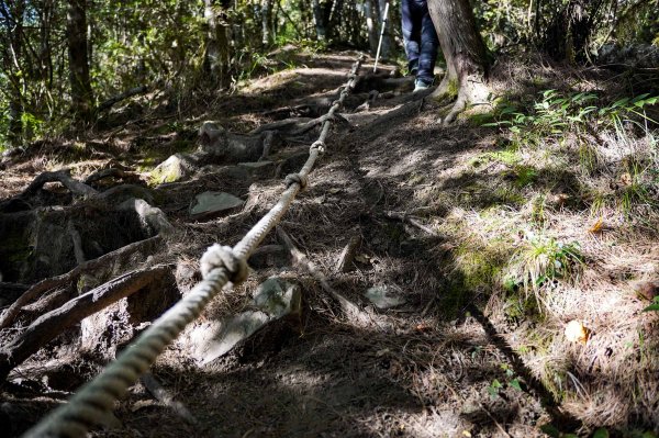 志佳陽大山2906134