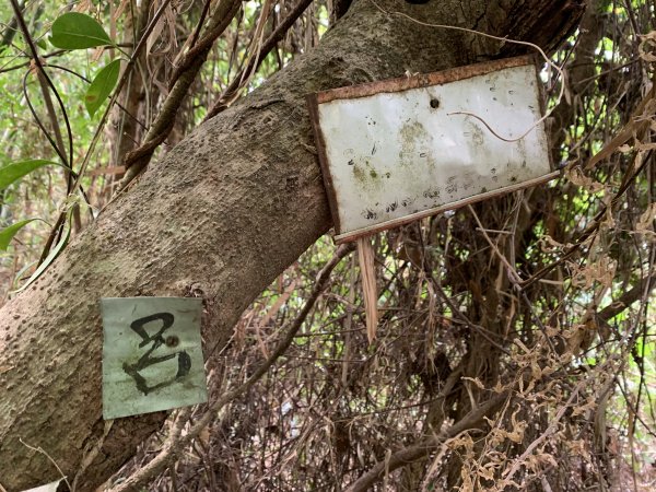 20251024台南光峰山2925660