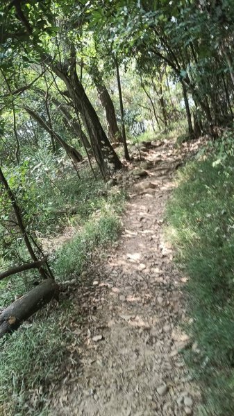 20251018 三義火炎山 南鞍古道 O型2920410