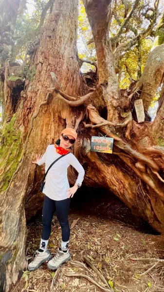 🌈11/9(日)高島縱走~高台山連走島田山山徑✨FB：熊熊趴爬走🌈2932492