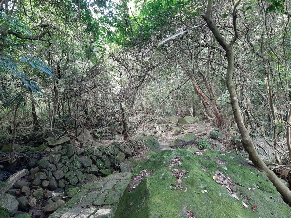 魚路古道北段 - 穿越時空遇到你1068891