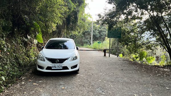 裡冷林道上八仙山標準路線2051826