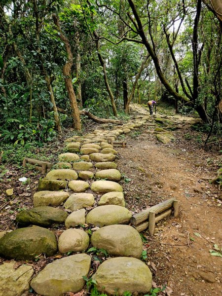 (大棟山系)405高地-2025微笑山線大縱走尋寶集章任務2844195