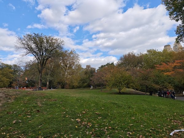 [紐約馬之行-11] 2025_1101 中央公園-畢士大露臺2945096