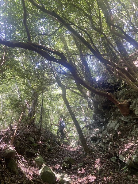 2025.6.28 煤源上李崠山經八五山 O型2824307