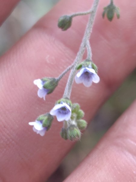 大竹溪山連走鞍輪名山3006882