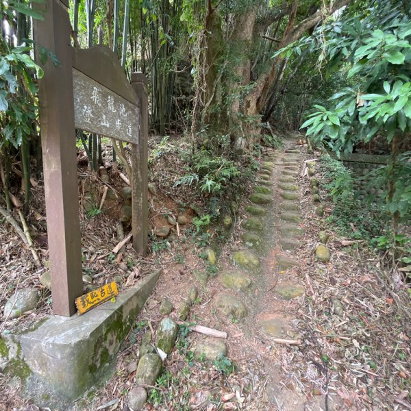 20231024_新竹飛龍健行步道（森遊竹縣）2762915