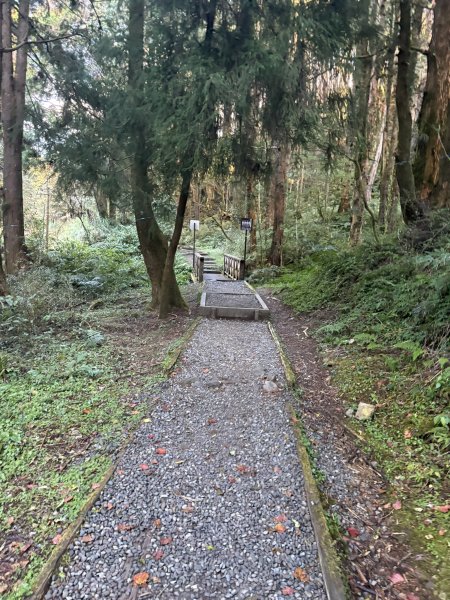 20251225塔山步道(大塔山)2970277