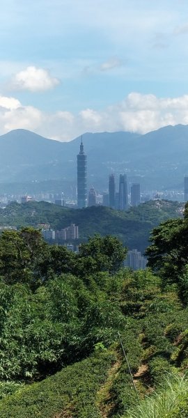 樟湖步道封面