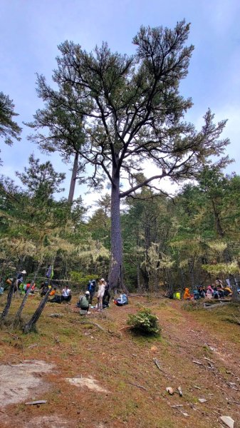 戒茂斯上嘉明湖-20250502-202505042859957