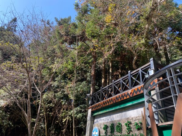 1140209雪見北坑山大板根2709960