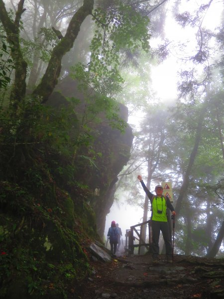 【新竹】觀霧迷幻森林：檜山巨木群步道1111956