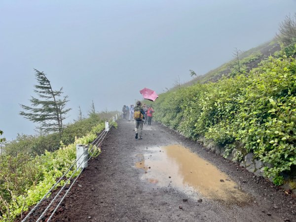 1150814-15 JP 富士山3110340