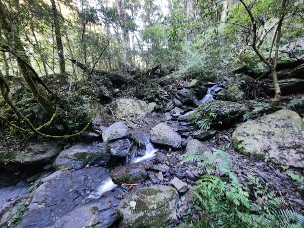 20241124布奴加里山2679113