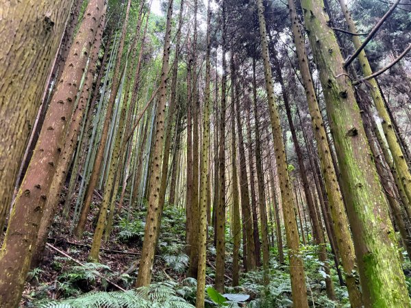 白蘭溪古道2846938