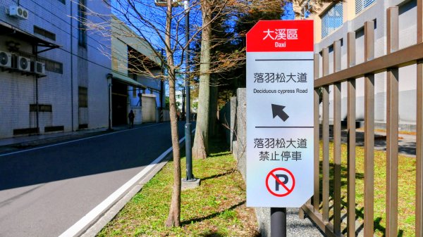 落羽松大道,龍潭大池2976174