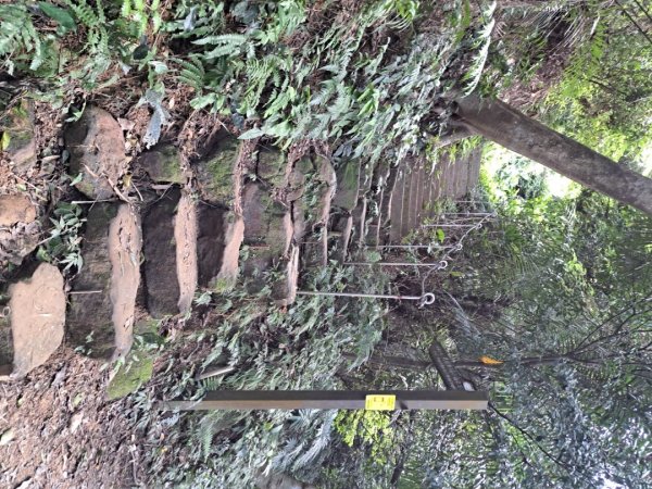 2026微笑山線烘爐地土地公段3103736
