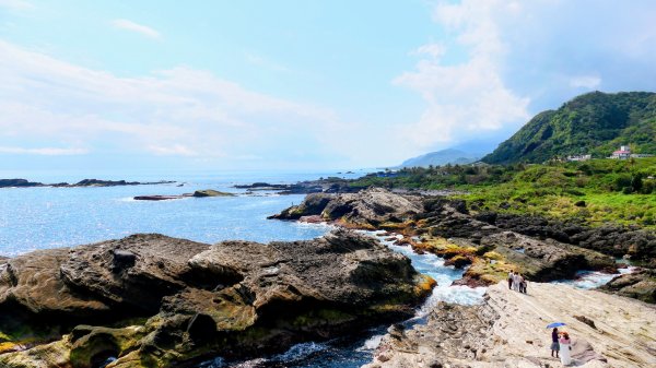 洄瀾東海岸3006674