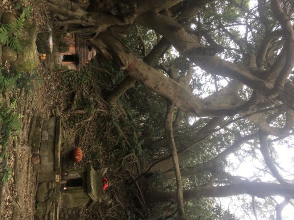 水牛城、百年土地公2036498