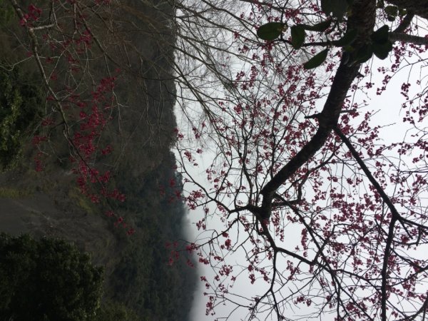 鳥嘴山（上島2708543