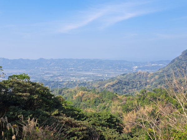 竹山八通關古道社寮段+陳東坑山+溪洲大山ｄ型走202302192037477