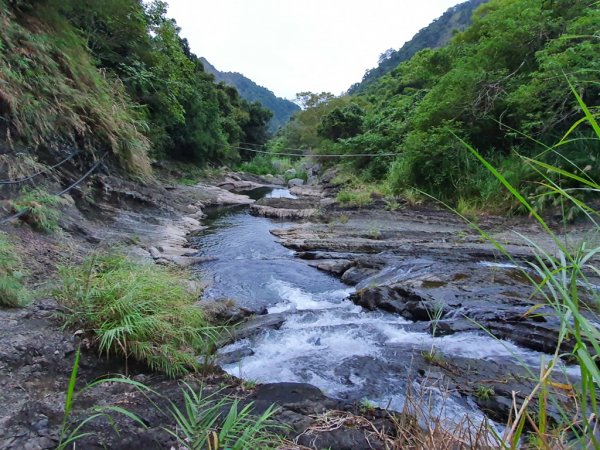 【花蓮富里】 海岸三雄-新港山我來了~1146200