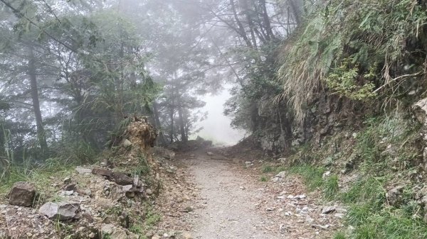 20251010 大雪山國家森林遊樂區 - 船型山林道 登 烏石坑山2911116