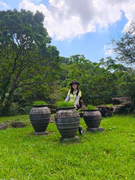 草嶺古道2025 芒花季2932019