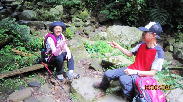 東眼山森林園區-東滿步道4.2K三岔路往返1858946