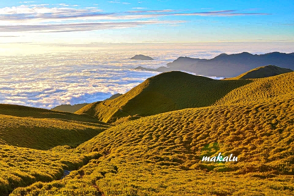 山岳之美--金黃箭竹、雲海、星空的奇萊南華山封面