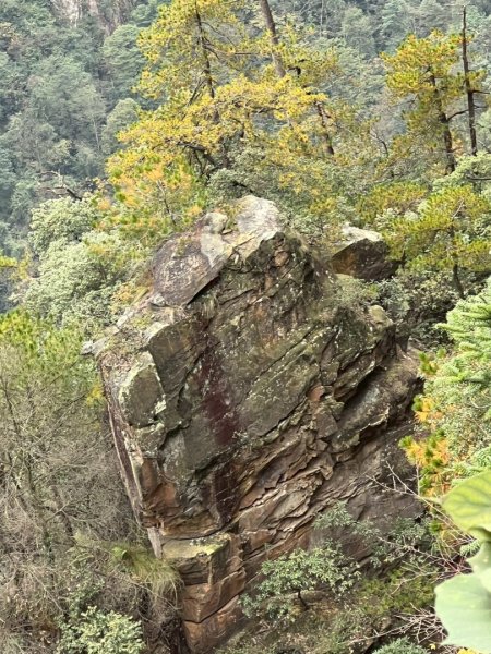 2025/11/8-10張家界園區