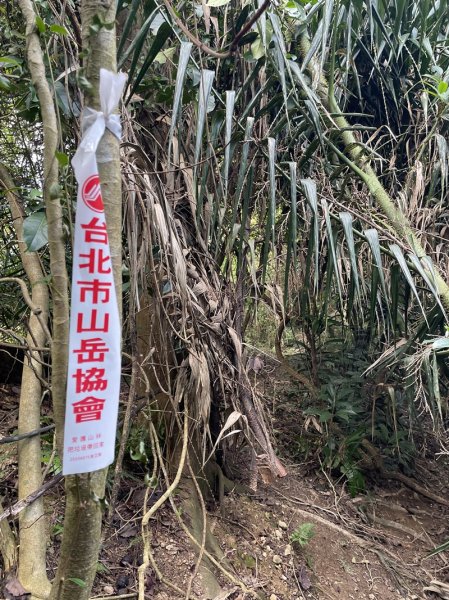 月扇湖大岩壁2952413