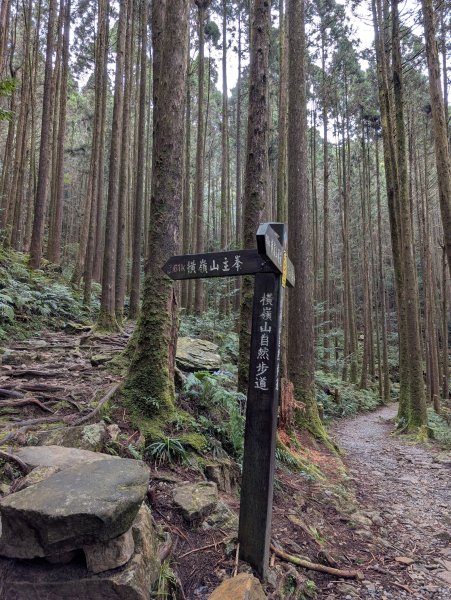 孕婦第二次的谷關七雄屋我尾山+橫嶺山3106907