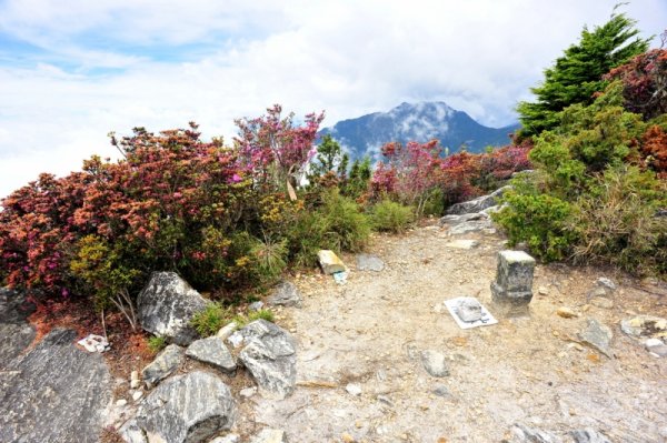 帕托魯山