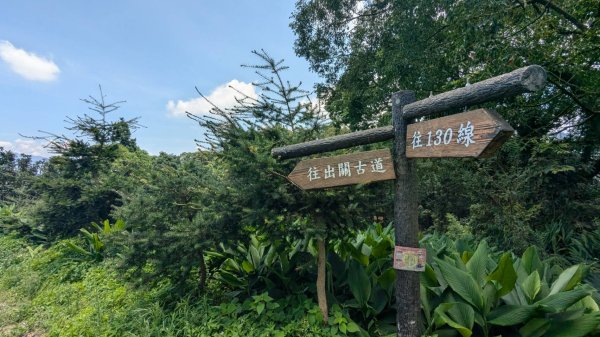 關刀山步道 (出關古道：聖關段)2532827