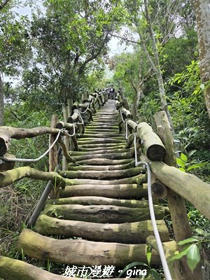 【台中北屯】大坑四號步道x頭嵙山3090942
