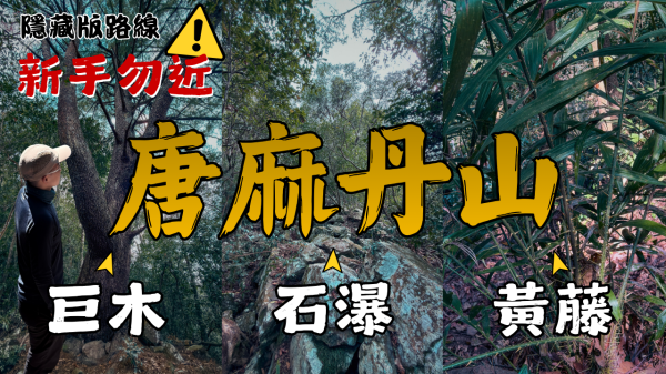 探勘路線上唐麻丹山