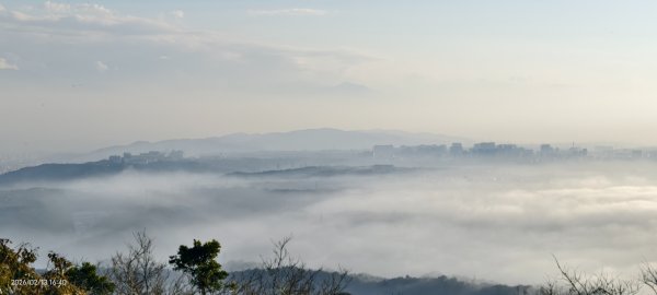 #觀音山 #雲海 #夕陽 #天空之城 #大赤鼯鼠（飛鼠） 2/132999430